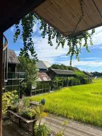 Fields, Sips & Serenity – Meena Café Magic in Kanchanaburi