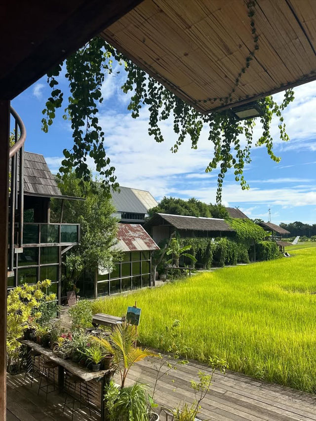 Fields, Sips & Serenity – Meena Café Magic in Kanchanaburi
