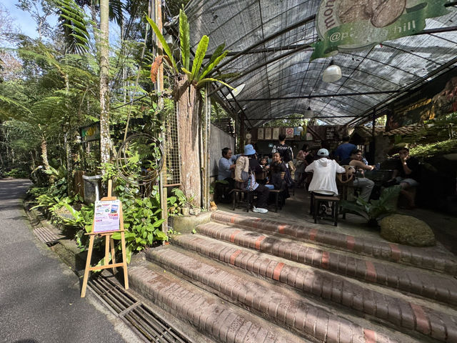🌿 Elevated Escape: Penang Hill’s Perfect Blend of Nature and Nostalgia