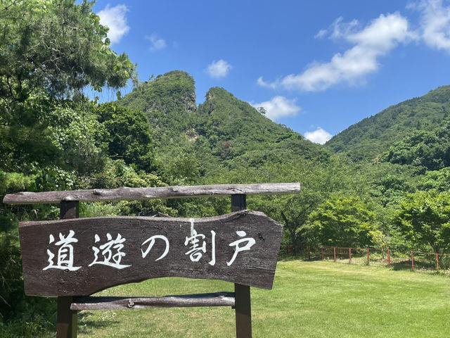 摸下真既金 佐渡既象徵！