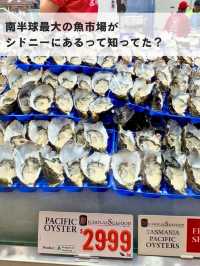 南半球最大のフィッシュマーケット🐟