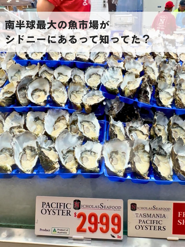 南半球最大のフィッシュマーケット🐟