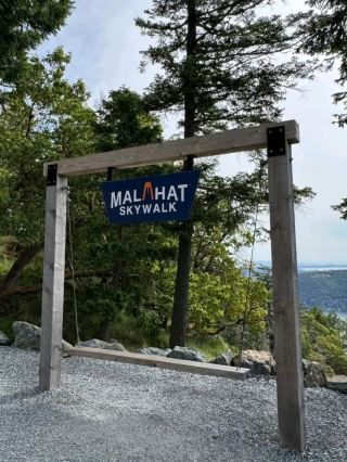 Above the Trees: A Calm Walk at Malahat SkyWalk