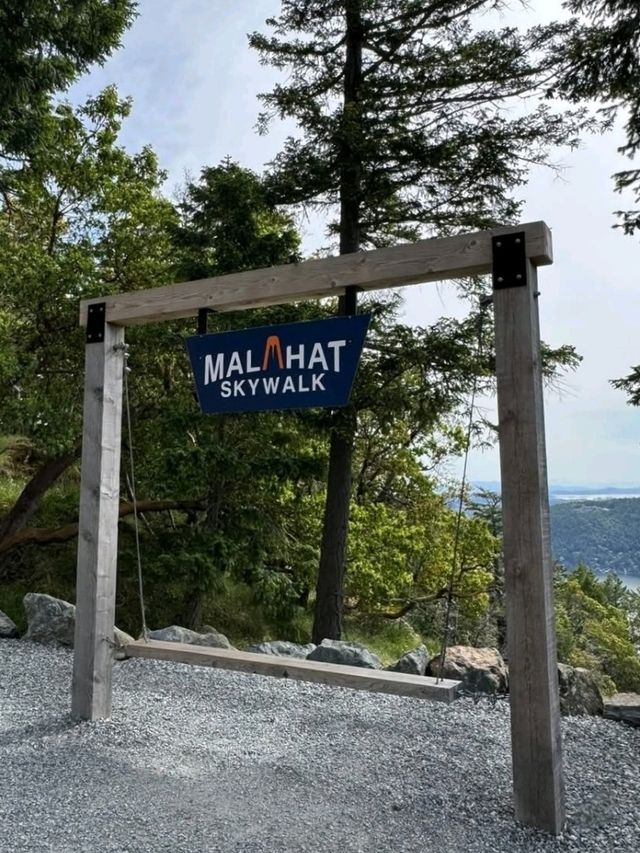 Above the Trees: A Calm Walk at Malahat SkyWalk