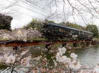 📍和歌山-貴志貓貓列車