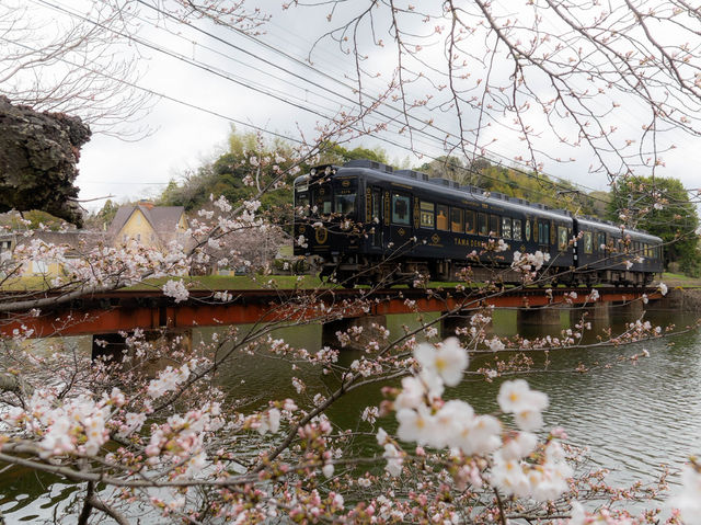 📍和歌山-貴志貓貓列車