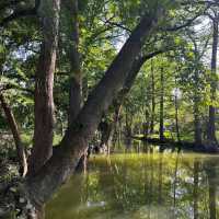 Blue Hole Regional Park – Wimberley