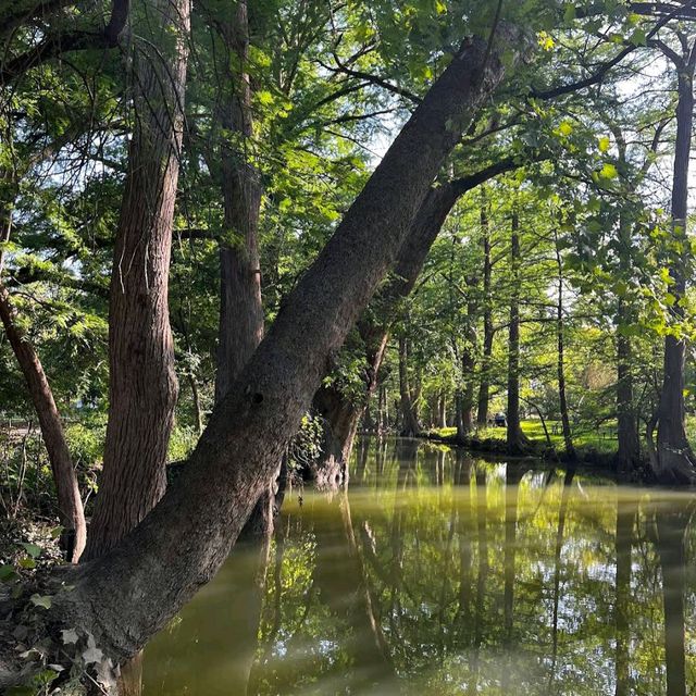 Blue Hole Regional Park – Wimberley