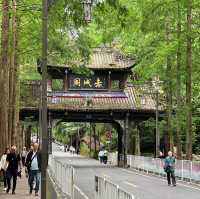 รีวิว “เขาชิงเฉิง” (Qingchengshan) 