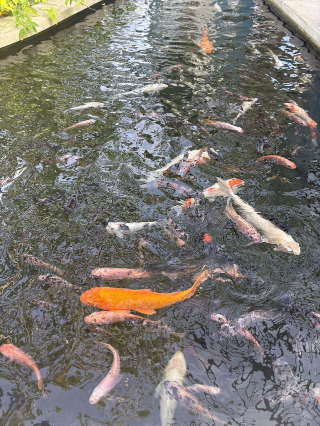 A lunch to remember at Jumeirah Bali 