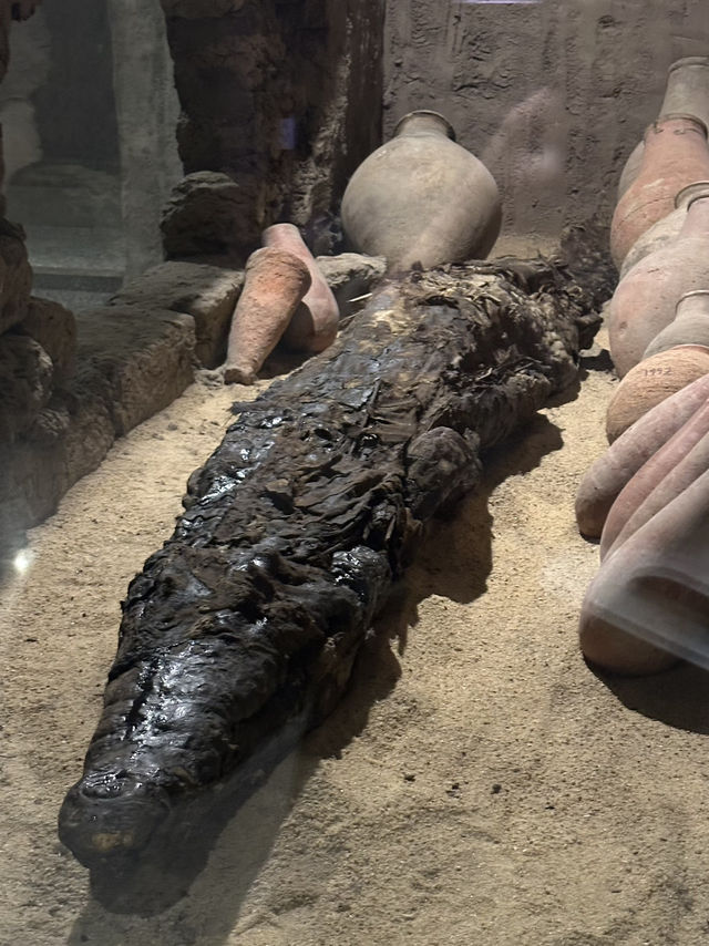 Kom Ombo Crocodile Museum: Sobek’s Retirement Home