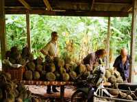 จันทบุรี เที่ยวชุมชนเก่าแก่ริมแม่น้ำจันทบูร