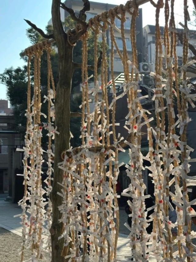🏯🇯🇵日本大阪必去景點（二） 大阪難波八坂神社