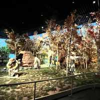 📍Inner Mongolia Museum – What to Know for Your First Visit!