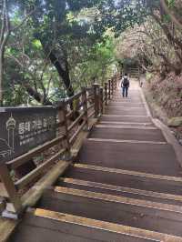太宗臺公園：懸崖海景的療癒散步