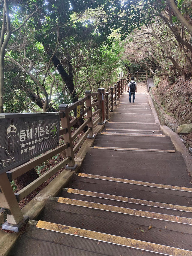 太宗臺公園：懸崖海景的療癒散步