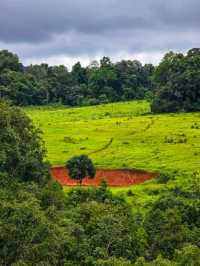วิ่งสูดอากาศบริสุทธิ์แบบ 360 องศา ที่เขาใหญ่