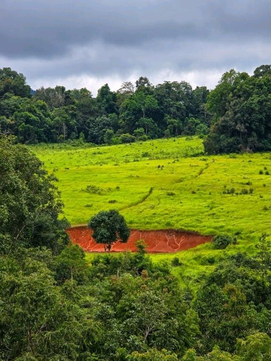 วิ่งสูดอากาศบริสุทธิ์แบบ 360 องศา ที่เขาใหญ่