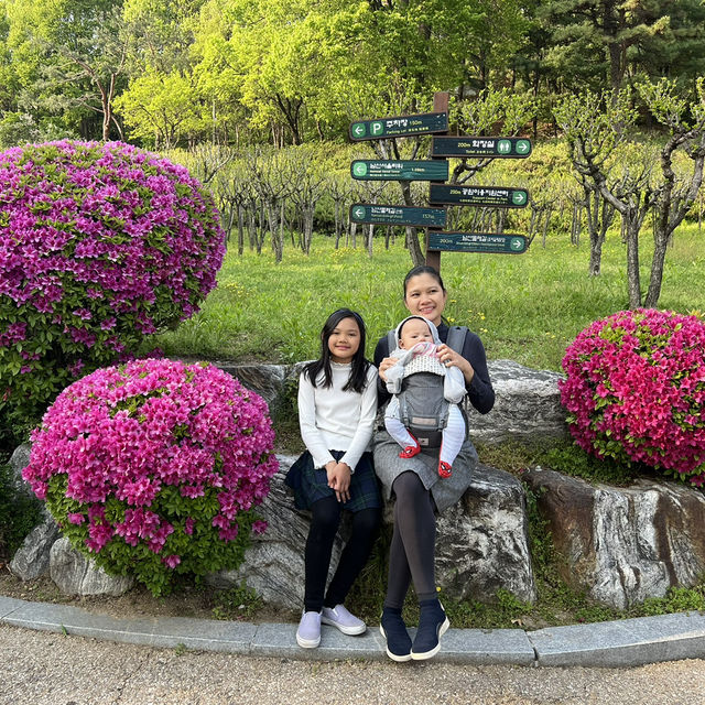 🇰🇷 How to spend 28 days in Seoul