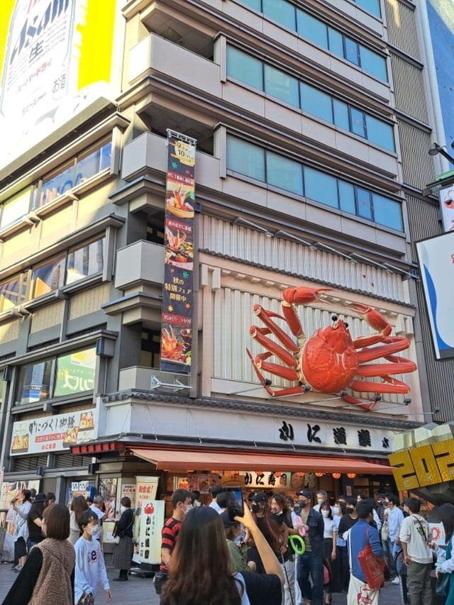 🎌 รีวิวDotonbori เดินชิม เดินช้อป สนุกไม่มีเบื่อ!