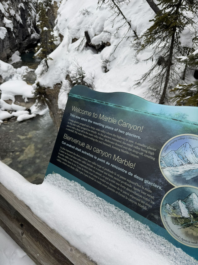 무더위를 이겨내기! 여름에 다시보는 겨울의 BANFF 🏔️