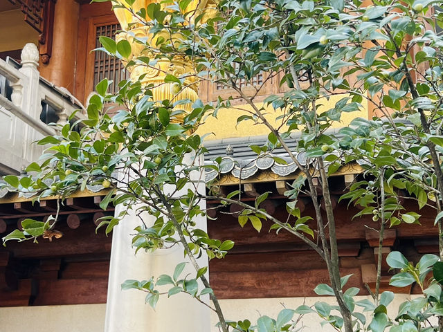 靜安寺：一片喧囂中的寧靜