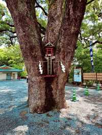【加藤神社】熊本城の守り神に会いに行く⛩️✨ 
