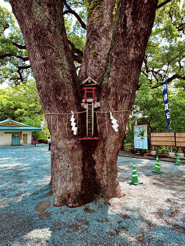 【加藤神社】熊本城の守り神に会いに行く⛩️✨ 