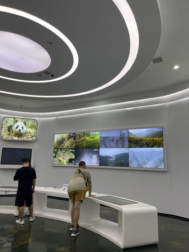 Chengdu Panda museum 🐼