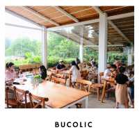 🌳 Bucolic Cafe เขาใหญ่ – คาเฟ่แนวธรรมชาติ