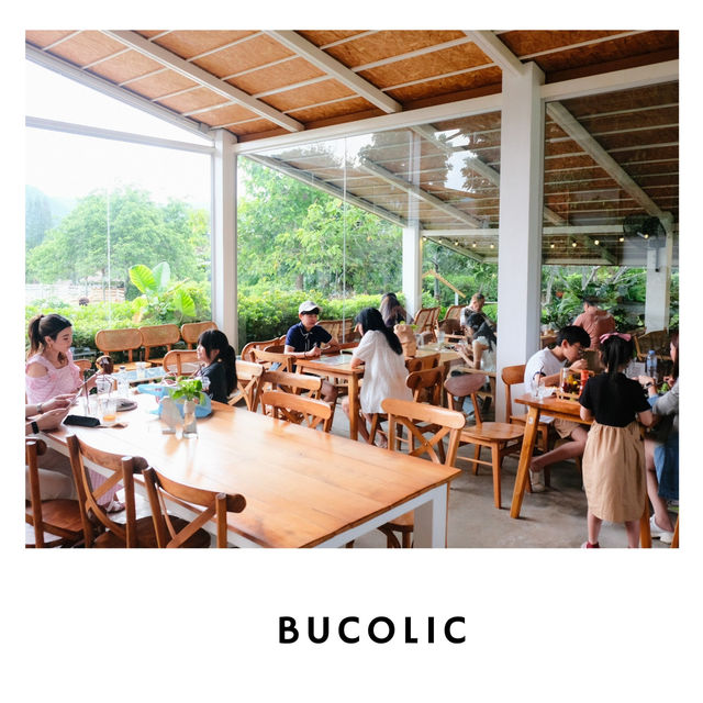🌳 Bucolic Cafe เขาใหญ่ – คาเฟ่แนวธรรมชาติ