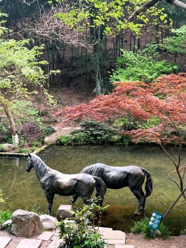 King Yue’s City Hill – Xiaoshan’s Hidden Historical Gem