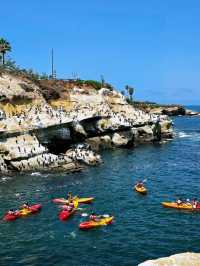 🌴La Jolla Cove – California’s Most Beautiful Beach Unleashed!🌊