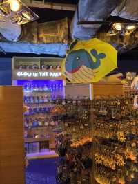 Sharks & Souvenirs — Aquaria Memories 🛍️🦈