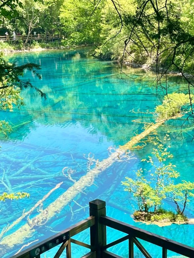 The Enchanted Valley: Exploring the Beauty of Jiuzhaigou