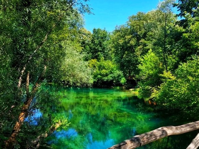 Una National Park: Where Water Dances Through the Wild 