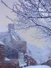 Four seasons of Great Wall 🌸🍃🍁❄️