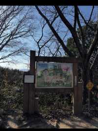 【香川旅】讃岐富士・飯野山でのんびり登山と絶景を楽しむ癒しのひととき