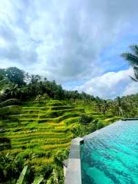 A Quiet Escape to Ubud, Bali