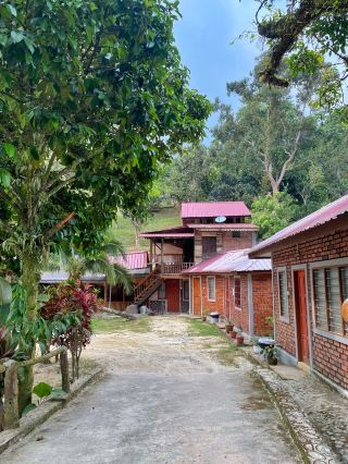 Sun, Stream & Serenity at Anjung Janda Resort