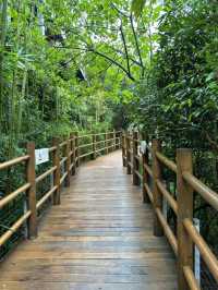 Panda Valley Dujiangyan