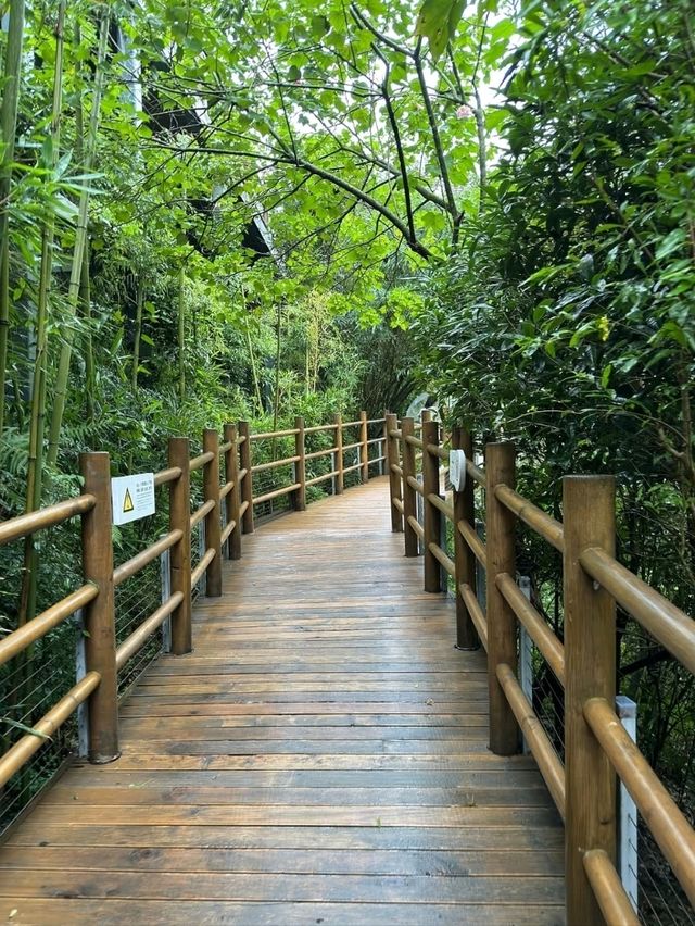 Panda Valley Dujiangyan Panda Valley Dujiangyan
