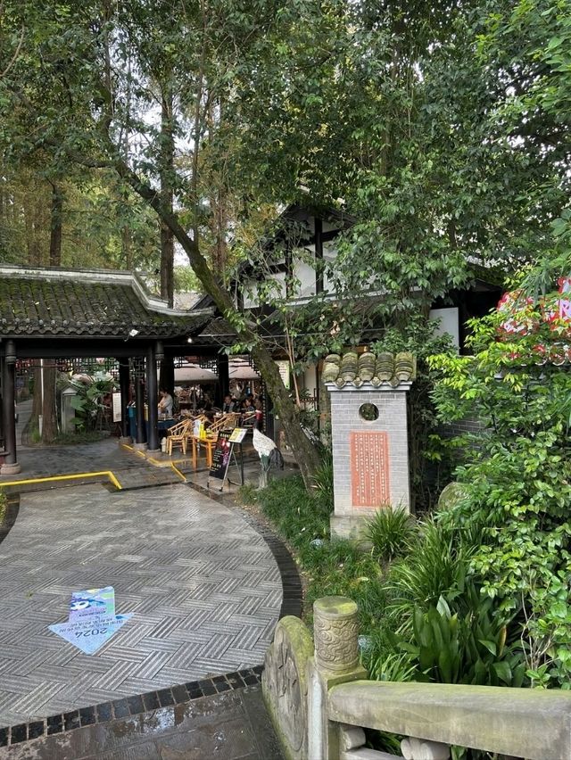 A Leisurely Day at Chengdu Renmin Park