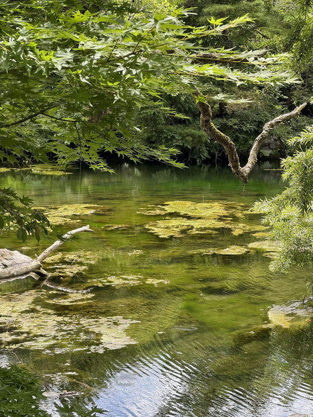 【福島】一生に一度は行きたい!!奇跡の絶景