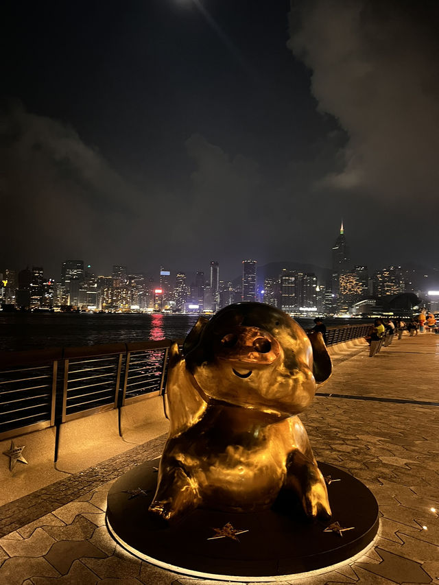 ✨Amazing Hong-Kong 🇭🇰
