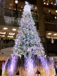 横浜ランドマークプラザのクリスマスツリー&ライトアップショーの撮影コツ+2025–2026年イベント