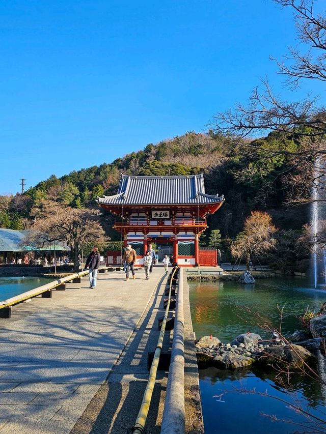 วัดดารุมะ หรือ Katsuoji Temple โอซาก้า