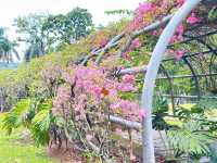 A Walk Through Terowong Bunga Kertas 