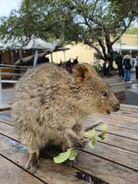 Perth, the way i like it