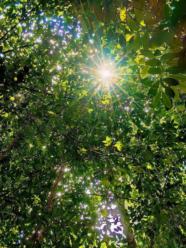 「柔佛隱藏版打卡山丘。」 「柔佛隱藏版打卡山丘。」